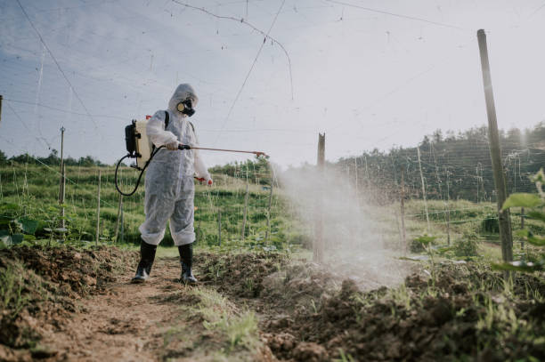 Professional Pest Control in Welch, WV