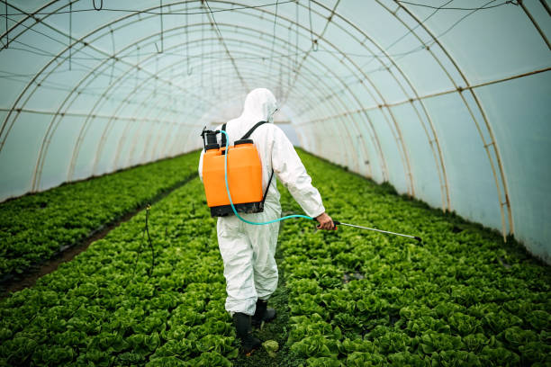 Best Commercial Pest Control Services  in Welch, WV