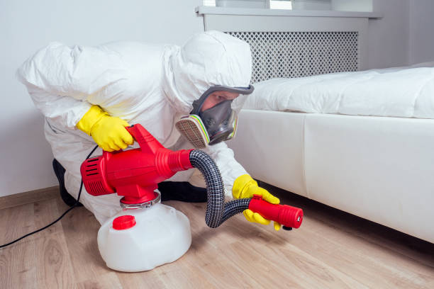 Best Mosquito Control Services  in Welch, WV