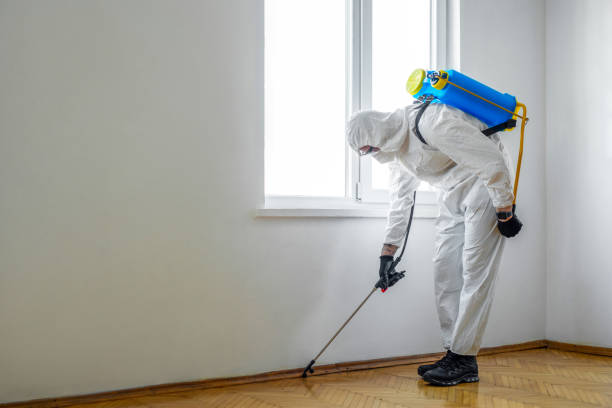 Best Pest Removal Services  in Welch, WV
