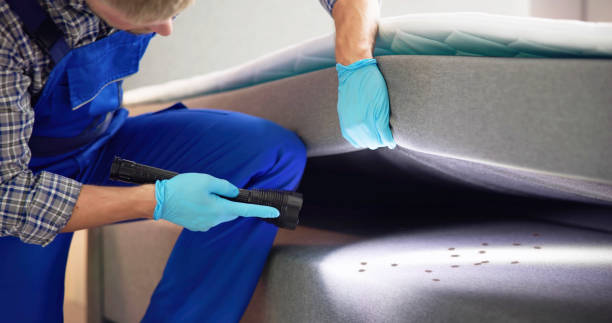 Best Best Pest Control Companies  in Welch, WV